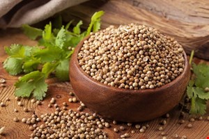 تخم گشنیز 