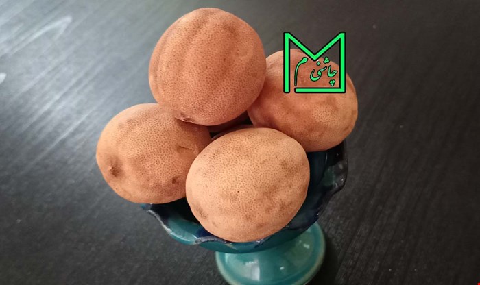 ليمو عمانی فوق اعلا