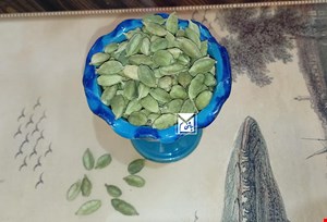 هل اکبر بنفش