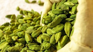 هل اکبر بسته بندی بنفش سوپر اعلا